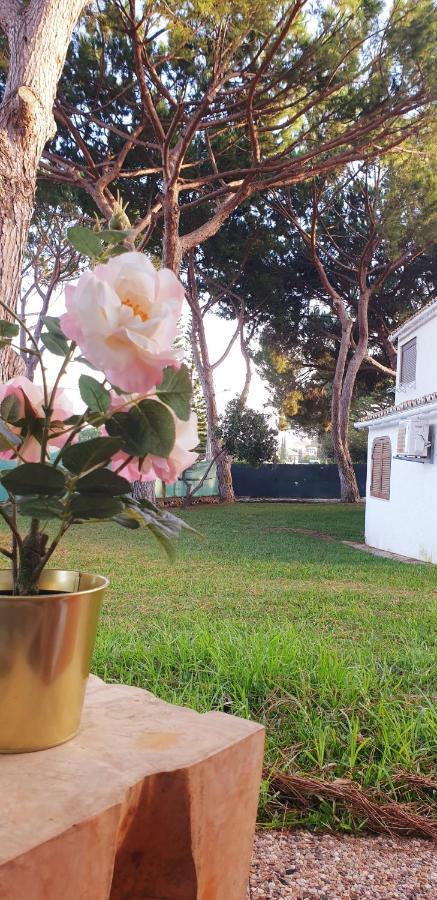 Estudio Na Falesia Albufeira Exteriör bild