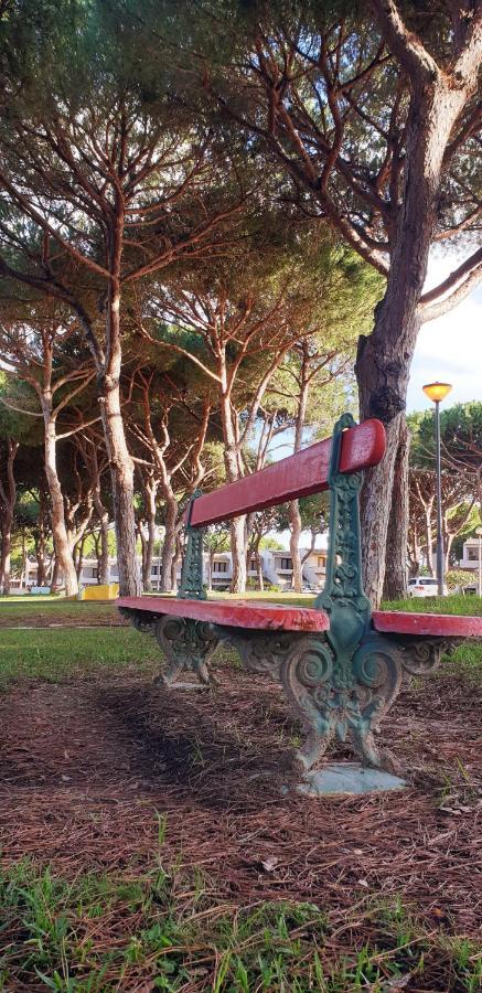 Estudio Na Falesia Albufeira Exteriör bild