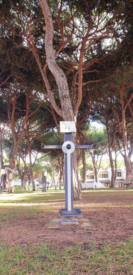 Estudio Na Falesia Albufeira Exteriör bild